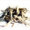 Virgin Silver Buds from Five Mountains