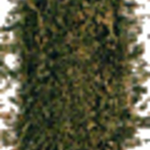 Tulsi Tea Mix (Bulk) from Organic India