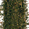 Tulsi Tea Mix (Bulk) from Organic India