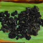 Silken Oolong from Te' House of Tea
