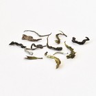 Arya Emerald Second Flush Green Darjeeling from Canton Tea Co