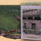 Indian Night Decaf Black Vanilla from Numi Organic Tea