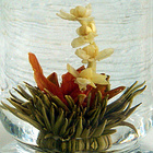Jasmine Fairy from Alice's Fine Teas