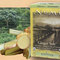 Decaf Ginger Lemon (Ginger Sun Lemon Decaf Green) from Numi Organic Tea