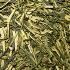 Organic Kukicha from Matcha Matcha