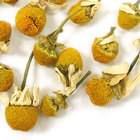 Chamomile from Adagio Teas