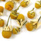 Chamomile from Adagio Teas