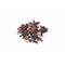Black Forest from ZenCha