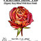Victorian Rose Tea from Eastern Shore Tea Company