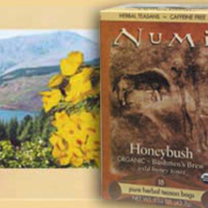 Bushmen's Brew Honeybush from Numi Organic Tea