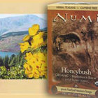 Bushmen's Brew Honeybush from Numi Organic Tea