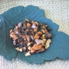 Mexican Wolf Chai from Trail Lodge Tea