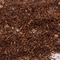 Caramel Rooibos from Premium Steap