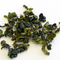 Yellow Gold Oolong from Many Rivers