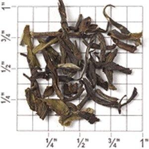 TD60: Darjeeling FTGFOPI Premium Blend from Upton Tea Imports