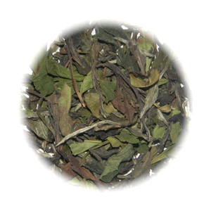 Pai Mu Tan from Still Water Tea