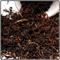 Ceylon King from Tavalon Tea