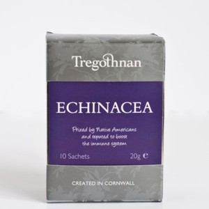Echinacea from Tregothnan
