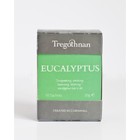 Eucalyptus from Tregothnan