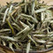 Silver Needle from the Min River Tea Farm