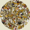 Green Cederberg Harvest Rooibos Herbal Tea from Simpson & Vail