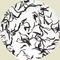Darjeeling Arya Estate Pouchong from Simpson & Vail