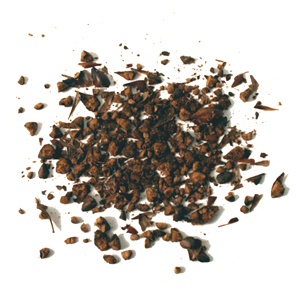 Mugicha (Barley Tea) from Maeda-en