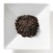 Earl Grey Decaf from Mighty Leaf Tea