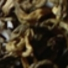 Assam Smoked Oolong from Grey's Teas