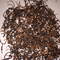 Golden Monkey Premium "King of Panyang Congou" from plymouth tea