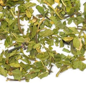 Peppermint from Adagio Teas