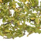 Peppermint from Adagio Teas
