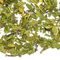 Peppermint from Adagio Teas