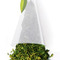 Citrus Mint from Tea Forte