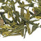 Cocomint Sencha from Tea Drops