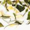White Pear from Zhi Tea
