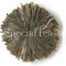 Green Sea Anemone from SpecialTeas