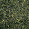 Gyokuro Superior from KIMICHA