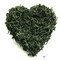 Korean Green from KIMICHA