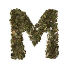 Spearmint and Peppermint Organic from KIMICHA