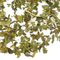 Spearmint from Adagio Teas