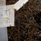 2006 Cheng Xiang Zhuan Cha from Haiwan Tea Factory