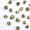 Jasmine Dragon Pearl-Mo Li Long Zhu from Tea Dynasty