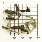 Singbulli Estate SFTGFOP1 Cl First Flush (DJ-8), TD93 from Upton Tea Imports