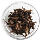 Organic Houjicha from auraTeas