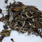 Shoumei White Tea from Mystery Tea House