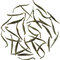 Silver Needle from Gong Fu Tea Shop
