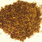 Moroccan Mint from tea and all its splendour