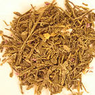 Kombucha Plum from tea and all its splendour