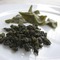 Milk Oolong from Tea Embassy